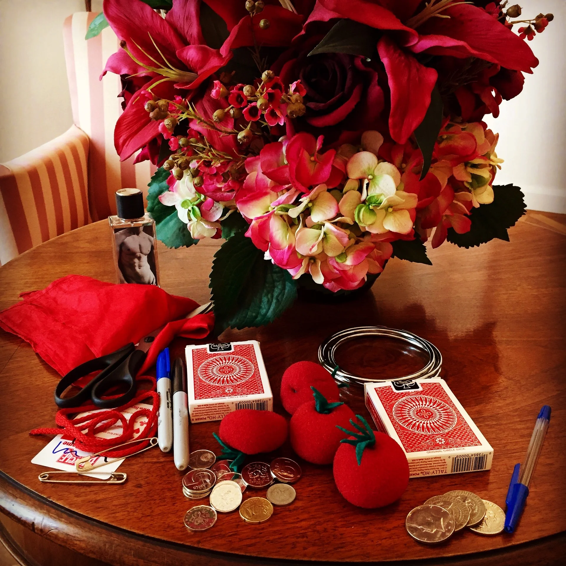 Zámek Dobříš, zábava na svatbu a kouzelník Martin