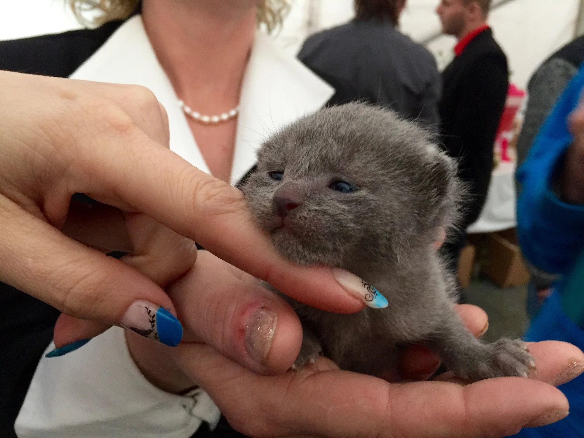 Svatba, Dolní Smržovka