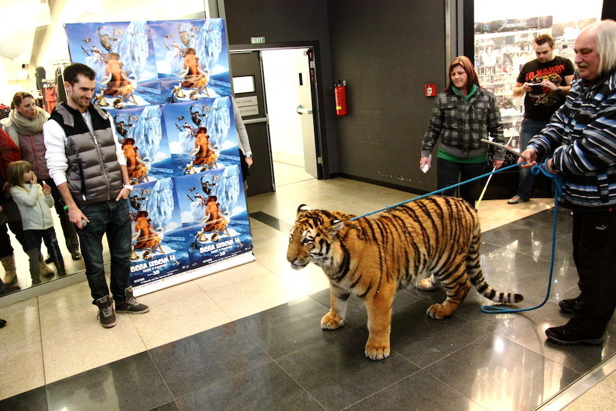 Doba Ledová v Harfě