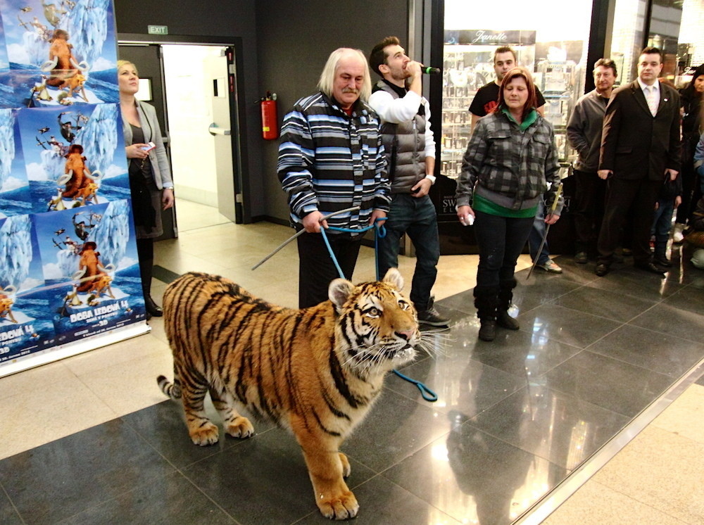 Doba Ledová v Harfě