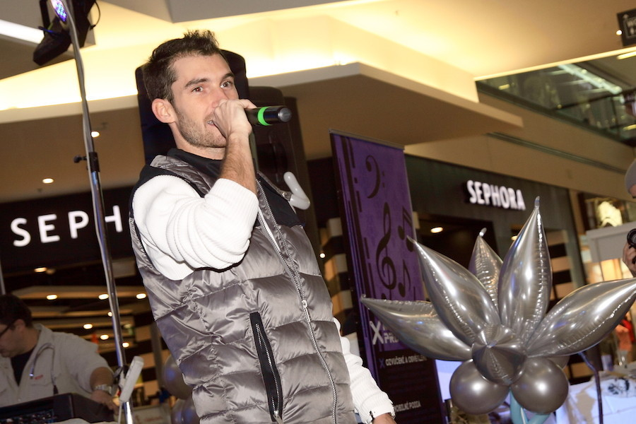 Doba Ledová v Harfě