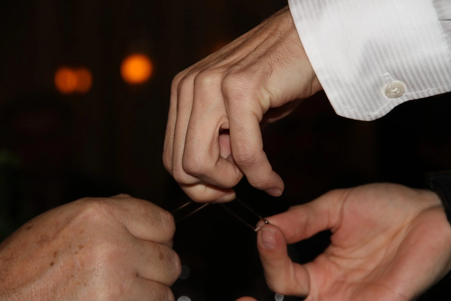 Agrofinal - firemní večírek