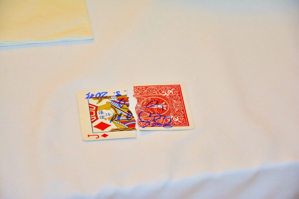 Litoměřice, Grandhotel Salva, zábava na svatbu, kouzelník Martin